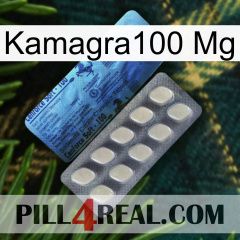 Kamagra100 Mg 34